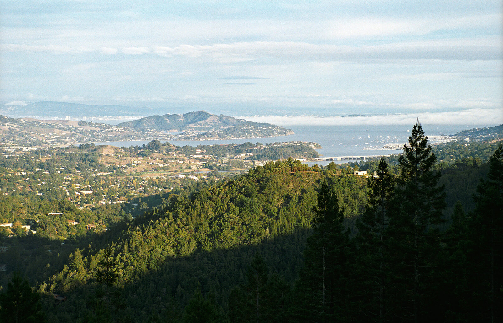 Arrive Marin Mill Valley