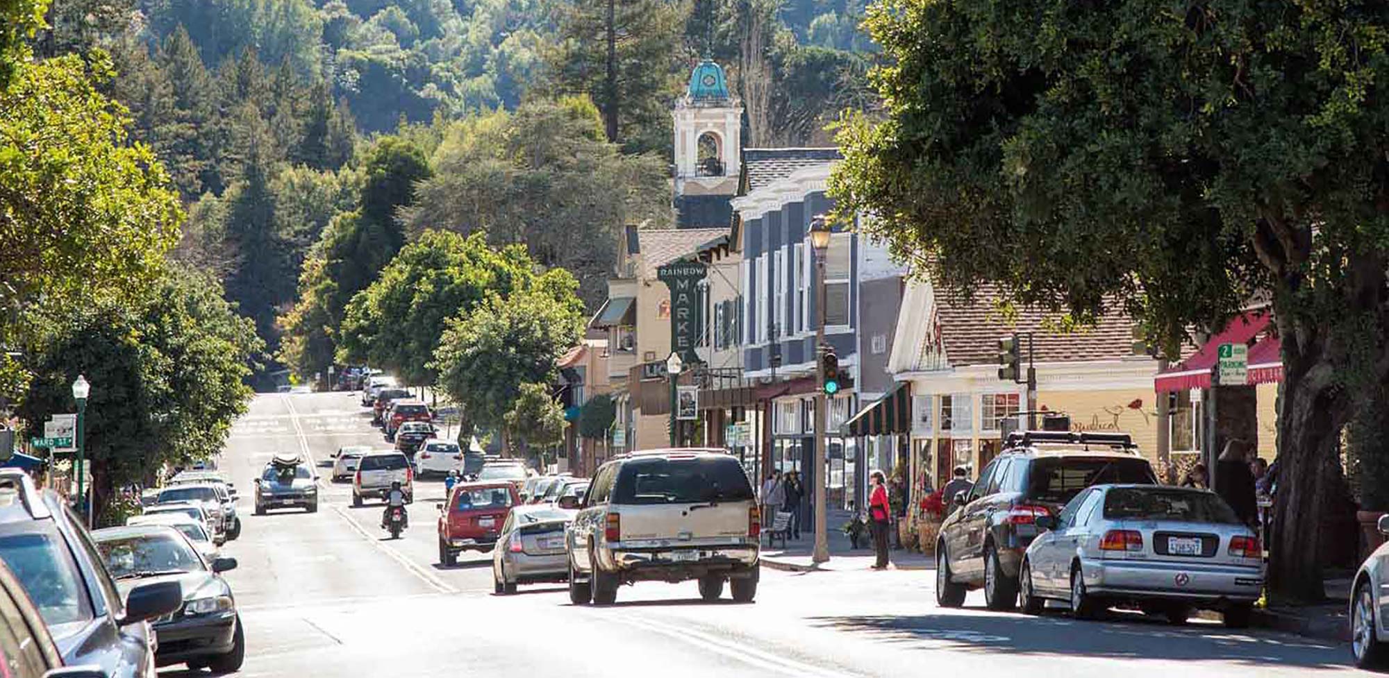 larkspur 1 crop Arrive Marin larkspur 1 crop Arrive Marin