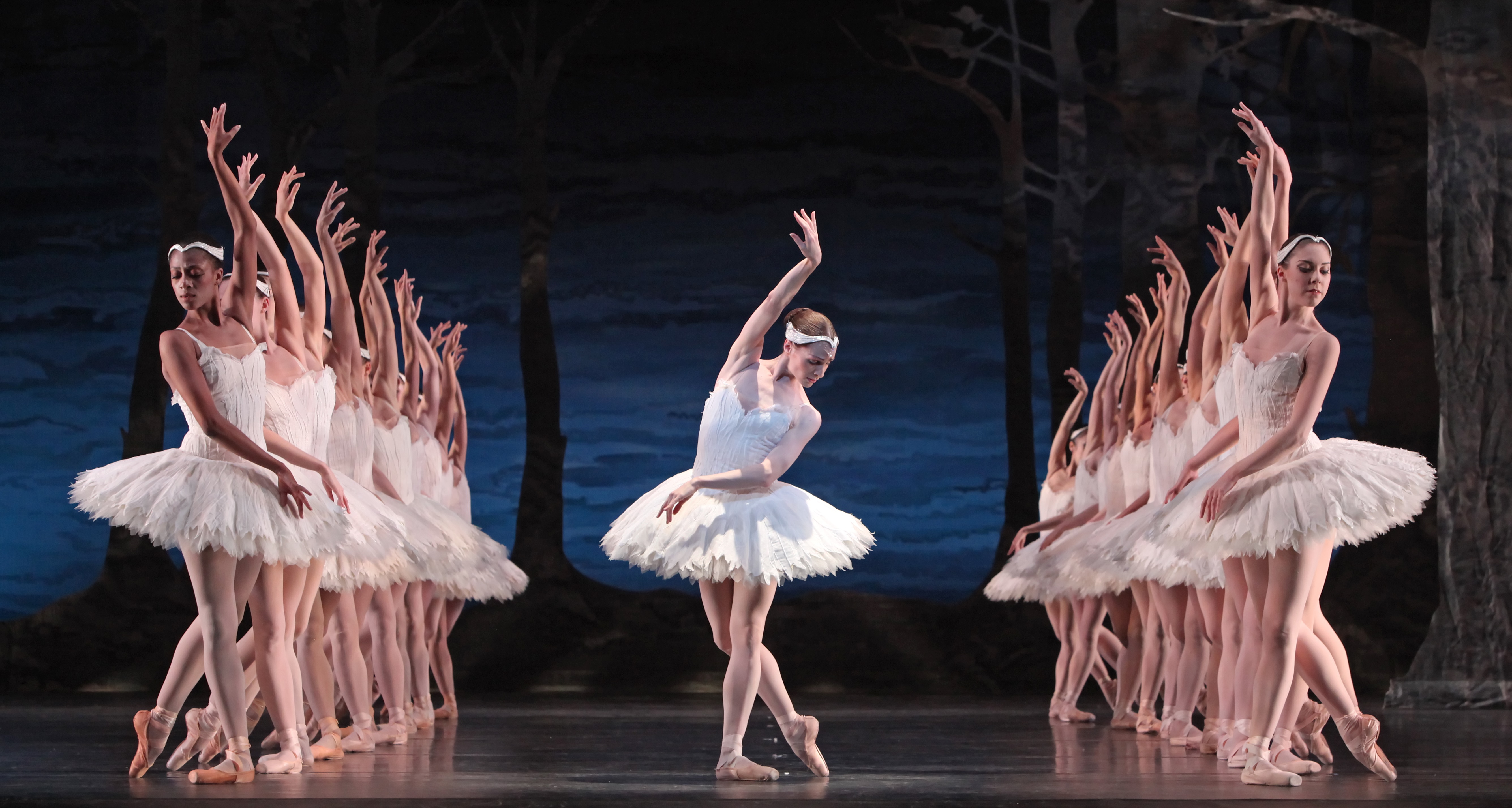 Russian Ballet Swan Lake 9536